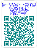 ���o�C���p�q